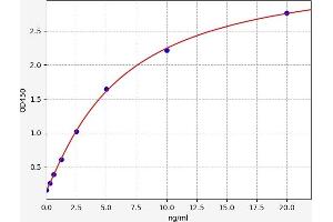 Typical standard curve (LAMb4 Kit ELISA)