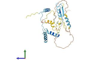 AlphaFold protein structure predicition of Human Recombinant HYLS1 Protein, UniprotID Q96M11