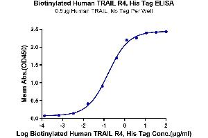 Immobilized Human TRAIL, No Tag at 5 μg/mL (100 μL/well) on the plate.