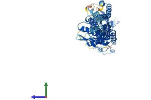 AlphaFold protein structure predicition of Mouse Recombinant Gbp1 Protein, UniprotID Q01514