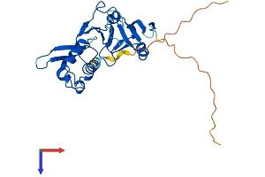 AlphaFold protein structure predicition of Human Recombinant TRPT1 Protein, UniprotID Q86TN4