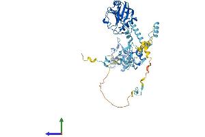 AlphaFold protein structure predicition of Mouse Recombinant Ppil2 Protein, UniprotID Q9D787