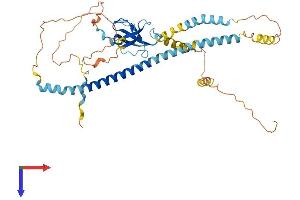 AlphaFold protein structure predicition of Human Recombinant PEX13 Protein, UniprotID Q92968