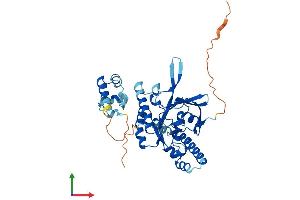 AlphaFold protein structure predicition of Human Recombinant RAD51C Protein, UniprotID O43502