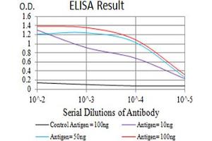 Black line: Control Antigen (100 ng),Purple line: Antigen (10 ng), Blue line: Antigen (50 ng), Red line:Antigen (100 ng) (Serotonin Receptor 3A anticorps  (AA 24-157))