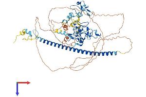 AlphaFold protein structure predicition of Human Recombinant UNKL Protein, UniprotID Q9H9P5