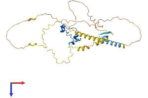 AlphaFold protein structure predicition of Human Recombinant CXXC5 Protein, UniprotID Q7LFL8