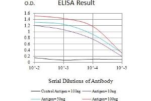 Black line: Control Antigen (100 ng),Purple line: Antigen (10 ng), Blue line: Antigen (50 ng), Red line:Antigen (100 ng) (AMBRA1 anticorps  (AA 1177-1301))