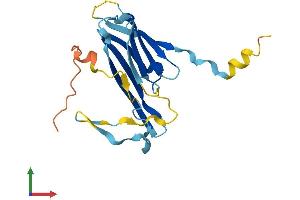 AlphaFold protein structure predicition of Mouse Recombinant Hspb2 Protein, UniprotID Q99PR8