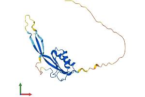AlphaFold protein structure predicition of Mouse Recombinant Rpp25 Protein, UniprotID Q91WE3
