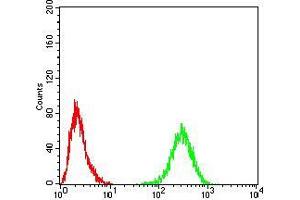 Flow cytometric analysis of Hela cells using TH mouse mAb (green) and negative control (red). (TH anticorps  (AA 44-208))