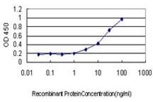 Detection limit for recombinant GST tagged ASCL1 is approximately 1ng/ml as a capture antibody. (ASCL1 anticorps  (AA 137-236))