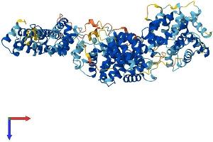 AlphaFold protein structure predicition of Mouse Recombinant Med24 Protein, UniprotID Q99K74