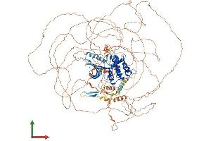 AlphaFold protein structure predicition of Mouse Recombinant Map3k19 Protein, UniprotID E9Q3S4