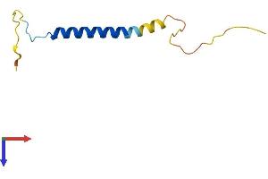 AlphaFold protein structure predicition of Mouse Recombinant Fxyd7 Protein, UniprotID P59648