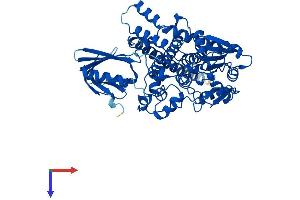 AlphaFold protein structure predicition of Human Recombinant MTMR9 Protein, UniprotID Q96QG7