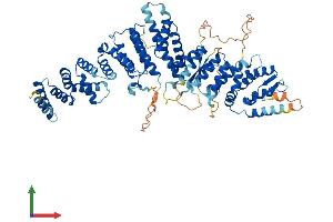 AlphaFold protein structure predicition of Mouse Recombinant Ints10 Protein, UniprotID Q8K2A7