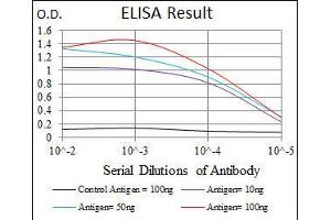 Black line: Control Antigen (100 ng), Purple line: Antigen(10 ng), Blue line: Antigen (50 ng), Red line: Antigen (100 ng), (FAS anticorps)