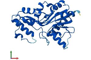 AlphaFold protein structure predicition of Mouse Recombinant Phospho2 Protein, UniprotID Q9D9M5