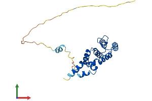 AlphaFold protein structure predicition of Human Recombinant RGS1 Protein, UniprotID Q08116
