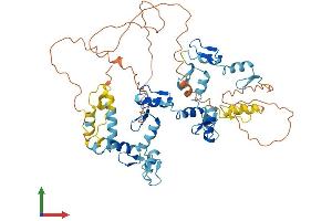 AlphaFold protein structure predicition of Human Recombinant ZNF382 Protein, UniprotID Q96SR6