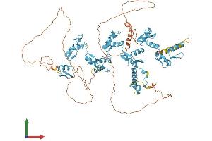 AlphaFold protein structure predicition of Human Recombinant ZNF786 Protein, UniprotID Q8N393