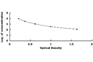 Typical standard curve