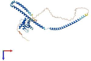 AlphaFold protein structure predicition of Human Recombinant CLUAP1 Protein, UniprotID Q96AJ1