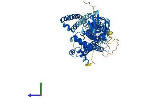 AlphaFold protein structure predicition of Mouse Recombinant Abcd4 Protein, UniprotID O89016