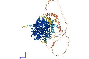 AlphaFold protein structure predicition of Mouse Recombinant Lipe Protein, UniprotID P54310