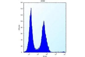 Flow cytometric analysis of Jurkat cells using MAP4K2 Antibody (Center) Cat.