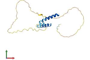 AlphaFold protein structure predicition of Mouse Recombinant Hes3 Protein, UniprotID Q61657
