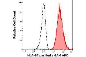 Separation of human lymphocytes of HLA-B7 positive blood donor (red-filled) from human lymphocytes of HLA-B7 negative blood donor (black-dashed) in flow cytometry analysis (surface staining) of human peripheral whole blood samples stained using anti-HLA-B7 (BB7. (HLA B7 anticorps)