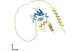 AlphaFold protein structure predicition of Human Recombinant MAGEH1 Protein, UniprotID Q9H213
