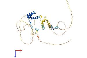 AlphaFold protein structure predicition of Human Recombinant VSX2 Protein, UniprotID P58304