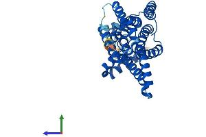 AlphaFold protein structure predicition of Human Recombinant G6PC3 Protein, UniprotID Q9BUM1