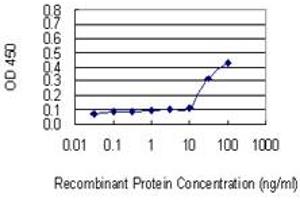 anti-Protocadherin alpha 2 (PCDHA2) (AA 189-288) antibody