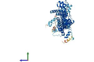 AlphaFold protein structure predicition of Human Recombinant ZDHHC13 Protein, UniprotID Q8IUH4