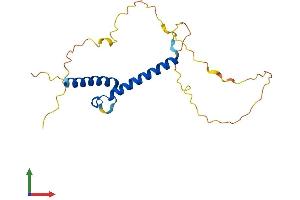AlphaFold protein structure predicition of Human Recombinant MSGN1 Protein, UniprotID A6NI15