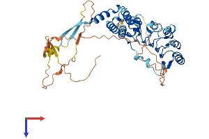 AlphaFold protein structure predicition of Human Recombinant LRRC42 Protein, UniprotID Q9Y546