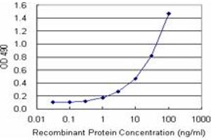 Sandwich ELISA detection sensitivity ranging from 1 ng/mL to 100 ng/mL. (SCGB1A1 (Humain) Matched Antibody Pair)