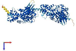 AlphaFold protein structure predicition of Mouse Recombinant Hkdc1 Protein, UniprotID Q91W97