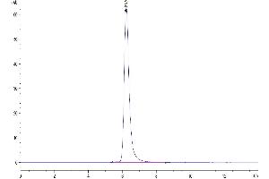 The purity of Mouse PLA2G1B is greater than 95 % as determined by SEC-HPLC.
