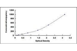 ELISA image for Interferon gamma (IFNG) ELISA Kit (ABIN414174)