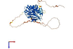 AlphaFold protein structure predicition of Human Recombinant SBK1 Protein, UniprotID Q52WX2