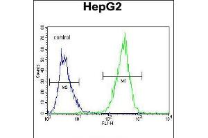 Flow cytometric analysis of HepG2 cells (right histogram) compared to a negative control cell (left histogram). (PPARD anticorps  (C-Term))