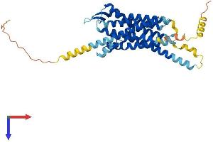 AlphaFold protein structure predicition of Human Recombinant NPSR1 Protein, UniprotID Q6W5P4