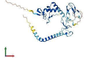 AlphaFold protein structure predicition of Mouse Recombinant Rnf144a Protein, UniprotID Q925F3