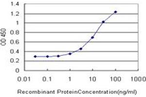 Detection limit for recombinant GST tagged DARS is approximately 0.