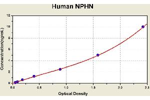 Diagramm of the ELISA kit to detect Human NPHNwith the optical density on the x-axis and the concentration on the y-axis. (Nephrin Kit ELISA)